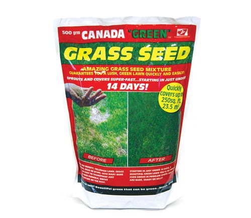 Premium Canada Green Grass Seed 500g - Lush Lawn for British Gardens