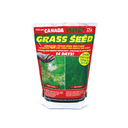 Premium Canada Green Grass Seed 500g - Lush Lawn for British Gardens